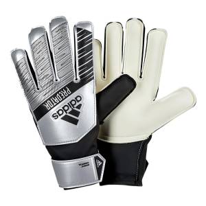 ADIDAS PRED TRN J (DY2609)