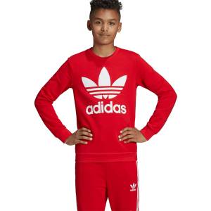 ADIDAS TREFOIL CREW (ED7798)